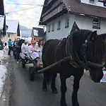 Ucni Ranc Bohinj, Boutique Horse-friendly Retreat Bohinj