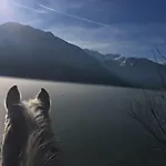 Ucni Ranc Bohinj, Boutique Horse-friendly Retreat ホームステイ *