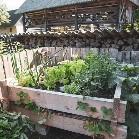 Ucni Ranc Bohinj, Boutique Horse-friendly Retreat Bohinj