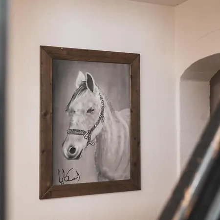 Ucni Ranc Bohinj, Boutique Horse-friendly Retreat