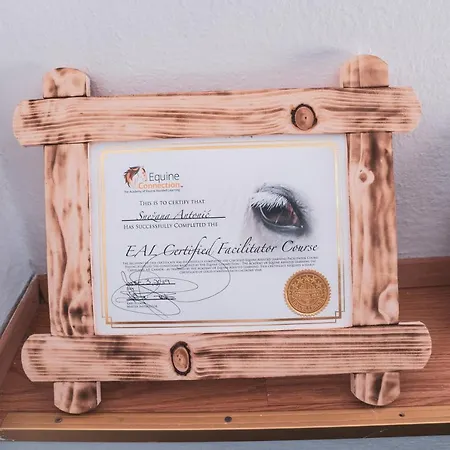 Ucni Ranc Bohinj, Boutique Horse-friendly Retreat 홈스테이 *