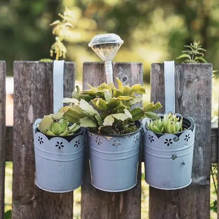 Alloggio in famiglia Ucni Ranc Bohinj, Boutique Horse-friendly Retreat *