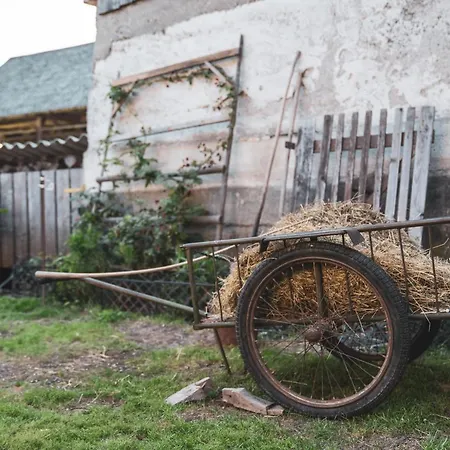 Ucni Ranc Bohinj, Boutique Horse-friendly Retreat 홈스테이 보히니