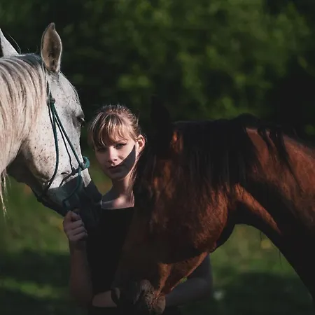 Ucni Ranc Bohinj, Boutique Horse-friendly Retreat *