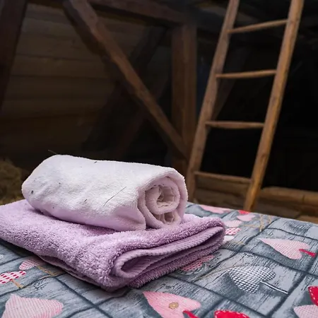 Ucni Ranc Bohinj, Boutique Horse-friendly Retreat Bohinj