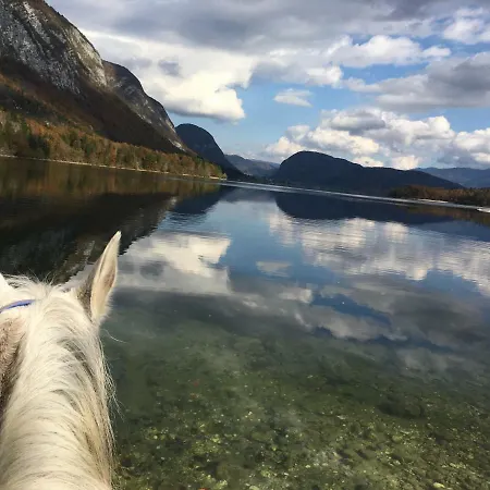 Ucni Ranc Bohinj, Boutique Horse-friendly Retreat