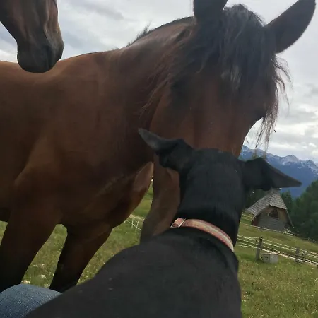 Ucni Ranc Bohinj, Boutique Horse-friendly Retreat *