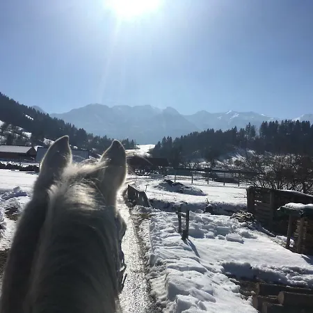 Ucni Ranc Bohinj, Boutique Horse-friendly Retreat 홈스테이