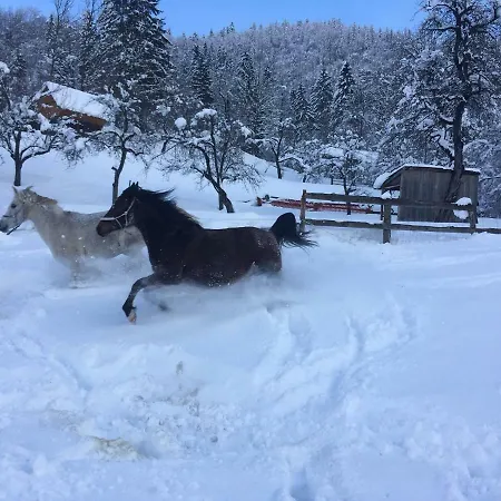 Ucni Ranc Bohinj, Boutique Horse-friendly Retreat