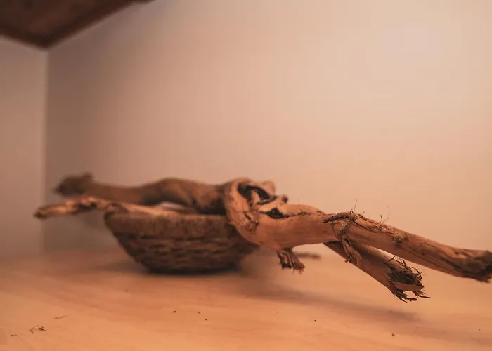 Ucni Ranc Bohinj, Boutique Horse-friendly Retreat Accommodatie bij particulieren Bohinj