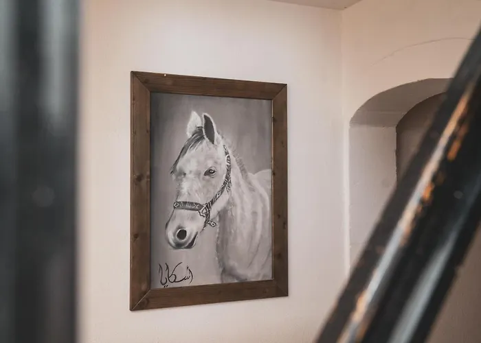 Ucni Ranc Bohinj, Boutique Horse-friendly Retreat