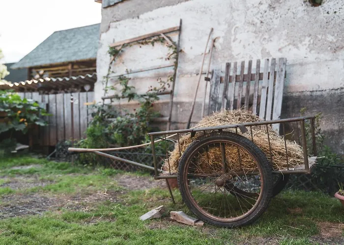 Ucni Ranc Bohinj, Boutique Horse-friendly Retreat Privat bolig Bohinj