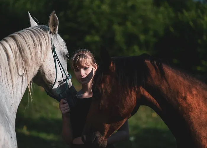 Ucni Ranc Bohinj, Boutique Horse-friendly Retreat *