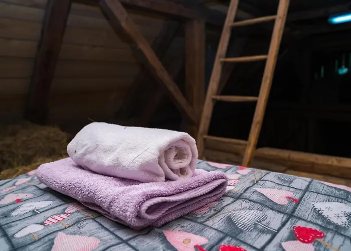 Ucni Ranc Bohinj, Boutique Horse-friendly Retreat Bohinj