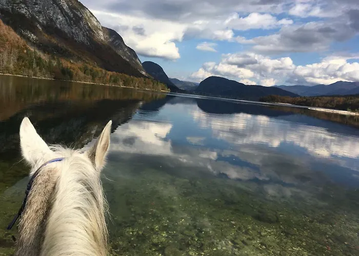 Ucni Ranc Bohinj, Boutique Horse-friendly Retreat