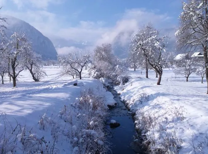 Privat bolig Ucni Ranc Bohinj, Boutique Horse-friendly Retreat *