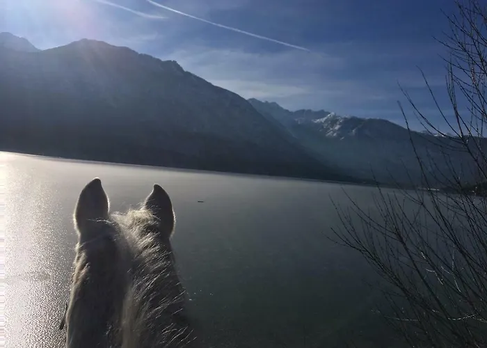 Ucni Ranc Bohinj, Boutique Horse-friendly Retreat Δωμάτια σε οικογενειακή κατοικία *